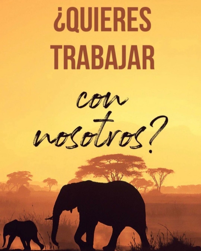 Buscamos COCINERO con experiencia en plancha, si estás interesado m&aacut 