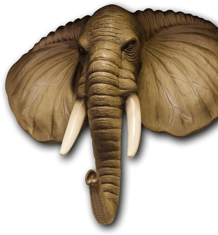 elefante